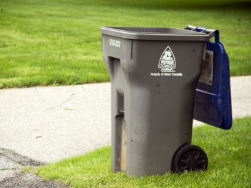 article image -